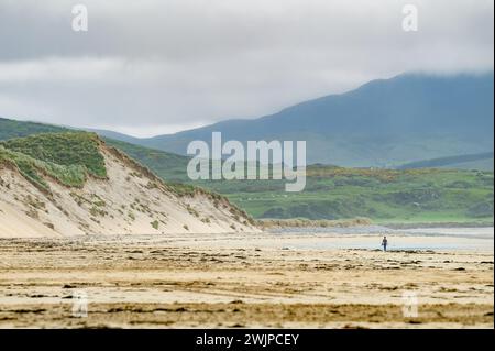 Five Finger Strand, l'une des plages les plus célèbres d'Inishowen connue pour son sable immaculé et sa côte rocheuse environnante avec certaines des plus hautes s. Banque D'Images