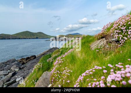 Belle vue de Valentia Island Lighthouse à Cromwell Point. Endroits à visiter sur la façon sauvage de l'Atlantique. Scenic a permis irlandais sur sunny su Banque D'Images