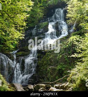 Torc Waterfall, l'un des plus célèbres attractions touristiques en Irlande, situé dans la ville pittoresque de woodland du Parc National de Killarney. Point d'arrêt de la célèbre Banque D'Images