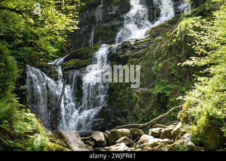 Torc Waterfall, l'un des plus célèbres attractions touristiques en Irlande, situé dans la ville pittoresque de woodland du Parc National de Killarney. Point d'arrêt de la célèbre Banque D'Images