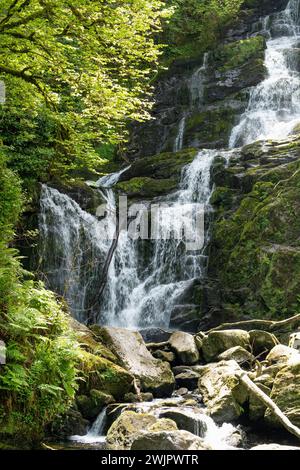 Torc Waterfall, l'un des plus célèbres attractions touristiques en Irlande, situé dans la ville pittoresque de woodland du Parc National de Killarney. Point d'arrêt de la célèbre Banque D'Images