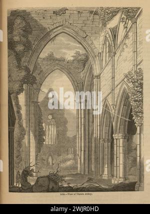 Vue sur les ruines de l'abbaye de Tintern. Tintern, pays de Galles 1845 Banque D'Images