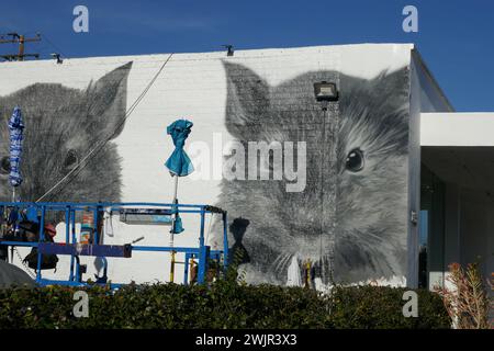 Los Angeles, Californie, USA 15 février 2024 Street Art mural sur Melrose Avenue le 15 février 2024 à Los Angeles, Californie, USA. Photo de Barry King/Alamy Stock photo Banque D'Images