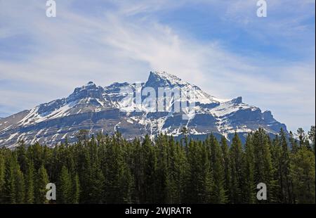Mont Murchison - montagnes Rocheuses, Canada Banque D'Images