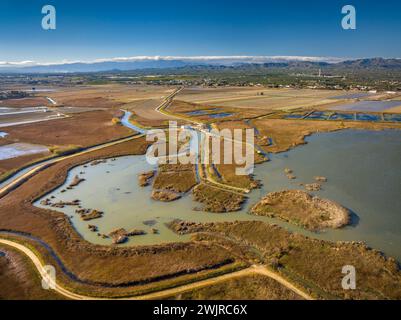 Vue aérienne de la zone humide de Bassa de les Olles en hiver, au nord du delta de l'Èbre (Tarragone, Catalogne, Espagne) ESP : Vista aérea humedal Delta del Ebro Banque D'Images