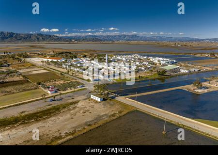 Vue aérienne de la ville de Poblenou del Delta entourée de rizières dans le delta de l'Èbre (Montsià, Tarragone, Catalogne, Espagne) Banque D'Images