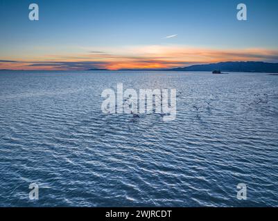 Flamants roses dans la baie d'Alfacs sur un coucher de soleil dans le delta de l'Èbre (Tarragone, Catalogne, Espagne) ESP : Flamencos en la Bahía de los Alfaques en un atardecer Banque D'Images