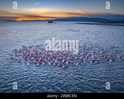 Coucher de soleil avec flamants roses dans la baie des Alfacs et, en arrière-plan, la tour Sant Joan, dans le delta de l'Èbre (Tarragone, Catalogne, Espagne) Banque D'Images