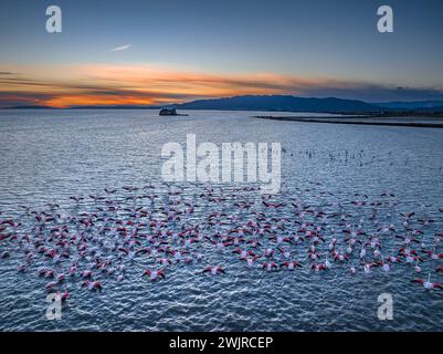 Coucher de soleil avec flamants roses dans la baie des Alfacs et, en arrière-plan, la tour Sant Joan, dans le delta de l'Èbre (Tarragone, Catalogne, Espagne) Banque D'Images