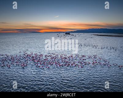 Coucher de soleil avec flamants roses dans la baie des Alfacs et, en arrière-plan, la tour Sant Joan, dans le delta de l'Èbre (Tarragone, Catalogne, Espagne) Banque D'Images