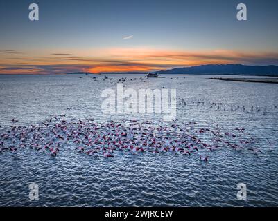 Coucher de soleil avec flamants roses dans la baie des Alfacs et, en arrière-plan, la tour Sant Joan, dans le delta de l'Èbre (Tarragone, Catalogne, Espagne) Banque D'Images