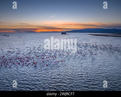 Coucher de soleil avec flamants roses dans la baie des Alfacs et, en arrière-plan, la tour Sant Joan, dans le delta de l'Èbre (Tarragone, Catalogne, Espagne) Banque D'Images