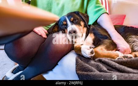 Hambourg, Allemagne. 07 février 2024. Un chien est allongé à côté d'une femme sur un canapé. Crédit : Markus Scholz/dpa/Picture alliance/dpa | Markus Scholz/dpa/Alamy Live News Banque D'Images