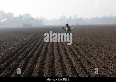 Munshiganj, Dhaka, Bangladesh. 17 février 2024. Les agriculteurs retournent chez eux après avoir préparé un champ à Munshiganj, au Bangladesh, pour semer des graines de pommes de terre. Les pommes de terre mettent au moins 90 jours à mûrir après le semis. Les pommes de terre entières ou les morceaux de pommes de terre peuvent être utilisés comme graines. Un groupe de travailleurs peut récolter jusqu'à 3 000 kg de pommes de terre par jour. Les champs sont méticuleusement organisés, avec des rangées de pommes de terre soigneusement alignées, promettant un rendement futur qui contribuera à la subsistance et à la prospérité économique de la région. Les pommes de terre sont devenues un aliment de base dans de nombreuses parties du monde et font partie intégrante de la plupart des Banque D'Images