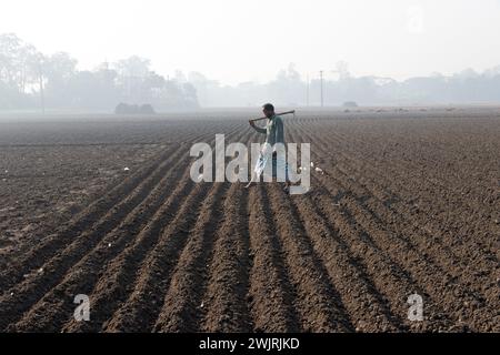 Munshiganj, Dhaka, Bangladesh. 17 février 2024. Les agriculteurs retournent chez eux après avoir préparé un champ à Munshiganj, au Bangladesh, pour semer des graines de pommes de terre. Les pommes de terre mettent au moins 90 jours à mûrir après le semis. Les pommes de terre entières ou les morceaux de pommes de terre peuvent être utilisés comme graines. Un groupe de travailleurs peut récolter jusqu'à 3 000 kg de pommes de terre par jour. Les champs sont méticuleusement organisés, avec des rangées de pommes de terre soigneusement alignées, promettant un rendement futur qui contribuera à la subsistance et à la prospérité économique de la région. Les pommes de terre sont devenues un aliment de base dans de nombreuses parties du monde et font partie intégrante de la plupart des Banque D'Images
