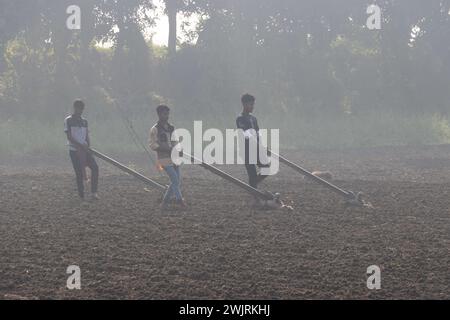 Munshiganj, Dhaka, Bangladesh. 17 février 2024. Les agriculteurs préparent un champ à Munshiganj, au Bangladesh, pour semer des graines de pommes de terre. Les pommes de terre mettent au moins 90 jours à mûrir après le semis. Les pommes de terre entières ou les morceaux de pommes de terre peuvent être utilisés comme graines. Un groupe de travailleurs peut récolter jusqu'à 3 000 kg de pommes de terre par jour. Les champs sont méticuleusement organisés, avec des rangées de pommes de terre soigneusement alignées, promettant un rendement futur qui contribuera à la subsistance et à la prospérité économique de la région. Les pommes de terre sont devenues un aliment de base dans de nombreuses régions du monde et font partie intégrante d'une grande partie de l'approvisionnement alimentaire mondial. (Crédit Banque D'Images