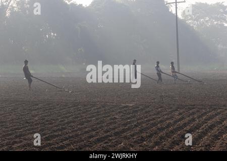 Munshiganj, Dhaka, Bangladesh. 17 février 2024. Les agriculteurs préparent un champ à Munshiganj, au Bangladesh, pour semer des graines de pommes de terre. Les pommes de terre mettent au moins 90 jours à mûrir après le semis. Les pommes de terre entières ou les morceaux de pommes de terre peuvent être utilisés comme graines. Un groupe de travailleurs peut récolter jusqu'à 3 000 kg de pommes de terre par jour. Les champs sont méticuleusement organisés, avec des rangées de pommes de terre soigneusement alignées, promettant un rendement futur qui contribuera à la subsistance et à la prospérité économique de la région. Les pommes de terre sont devenues un aliment de base dans de nombreuses régions du monde et font partie intégrante d'une grande partie de l'approvisionnement alimentaire mondial. (Crédit Banque D'Images