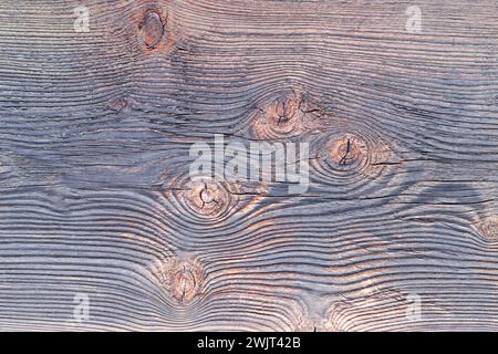 toile de fond en bois d'épicéa prête pour votre conception, détail de planche en bois noué Banque D'Images