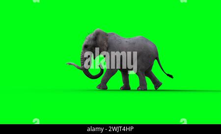 Éléphant africain inactif. rendu 3d. Banque D'Images