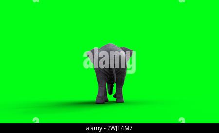 Éléphant africain inactif. rendu 3d. Banque D'Images