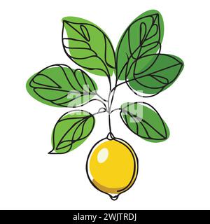 Branche avec des feuilles et du citron jaune. Esquissez dans un style linéaire avec des couleurs vives, des feuilles vertes et un citron juteux mûr brillant. Illustration de Vecteur