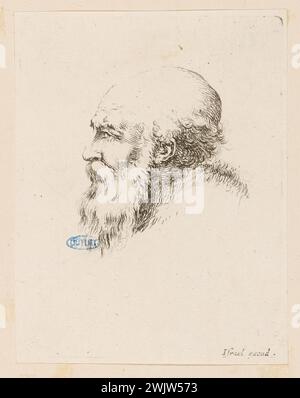 Della Bella, Stefano (dit Étienne de la belle) (n.1610-05-18-D.1664-08-22), différentes têtes et figures. Tête d'un vieil homme chauve avec une longue barbe. Huitième numéro d'une séquence de 17 pièces. (A. de Vesme 315 ; Dutuit 168) (titre principal). Gravure. Petit Palais, Musée des Beaux-Arts de la ville de Paris. Banque D'Images