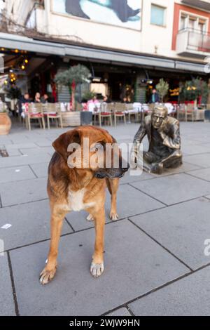 Pristina, Kosovo - 5 février 2024 : le boulevard mère Teresa est une rue piétonne animée dans le centre de Pristina, la capitale du Kosovo. Banque D'Images