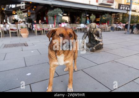 Pristina, Kosovo - 5 février 2024 : le boulevard mère Teresa est une rue piétonne animée dans le centre de Pristina, la capitale du Kosovo. Banque D'Images