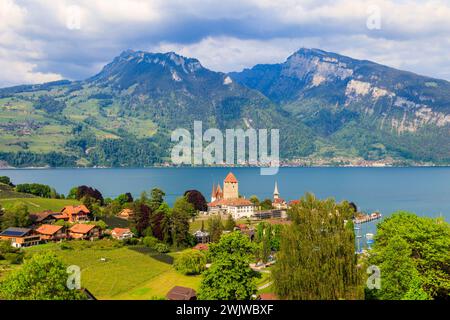 Vue aérienne de la ville de Spiez avec le château de Spiez et le lac Thun dans l'Oberland bernois, en Suisse Banque D'Images