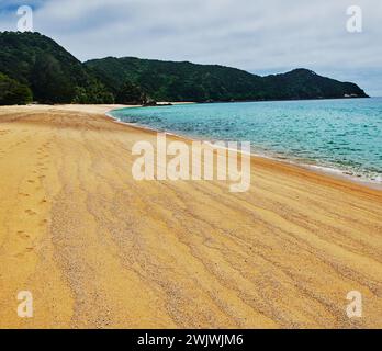 Paysage de plage le long de la piste côtière du parc national Abel Tasman, Île du Sud, Nouvelle-Zélande Banque D'Images