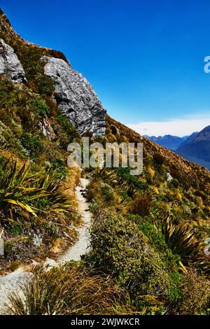 Sentier Routeburn dans le parc national de Fjordland, Île du Sud, Nouvelle-Zélande Banque D'Images