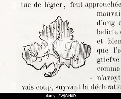 Gustave Doré (1832-1883), designer et N., graveur. "Modesty traict." Illustration pour Honoré de Balzac, 'les contes drolatiques', Paris : Société générale de librairie, 1855'. Gravure sur bois. Paris, Maison de Balzac. 101781-5 gravure sur bois, illustration d'une œuvre littéraire, 19e 19e 19e 19e 19e xixe siècle, gravure Banque D'Images