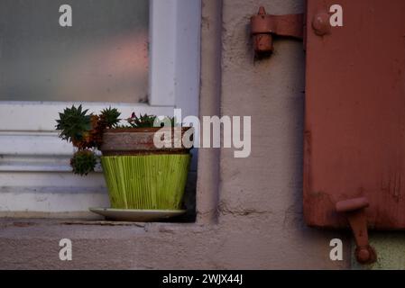 Plante succulente dans un pot en céramique sur le rebord de la fenêtre d'une maison rurale à Turckheim, Alsace France. Banque D'Images