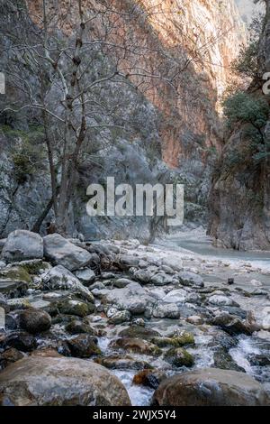 Majestic Realm : l'oasis verdoyante des gorges de Saklikent Banque D'Images