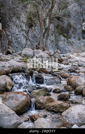 Majestic Realm : l'oasis verdoyante des gorges de Saklikent Banque D'Images