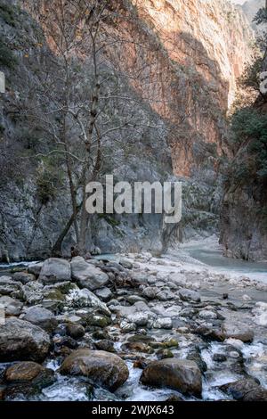 Majestic Realm : l'oasis verdoyante des gorges de Saklikent Banque D'Images