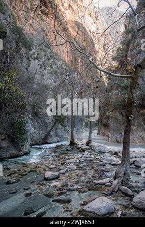 Majestic Realm : l'oasis verdoyante des gorges de Saklikent Banque D'Images