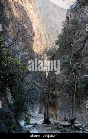 Majestic Realm : l'oasis verdoyante des gorges de Saklikent Banque D'Images