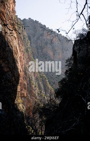 Majestic Realm : l'oasis verdoyante des gorges de Saklikent Banque D'Images