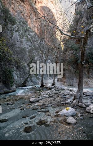 Majestic Realm : l'oasis verdoyante des gorges de Saklikent Banque D'Images