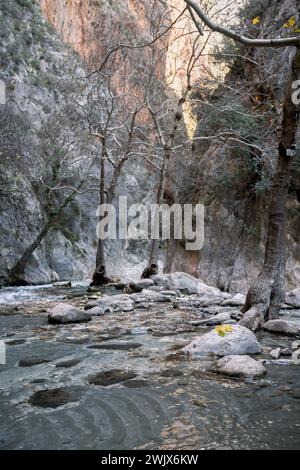 Majestic Realm : l'oasis verdoyante des gorges de Saklikent Banque D'Images