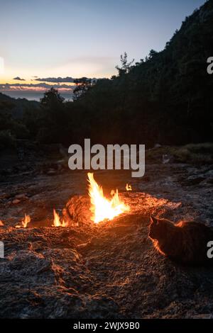 Dawn's Embrace : une veillée silencieuse de chat aux flammes éternelles de Yanartas Banque D'Images