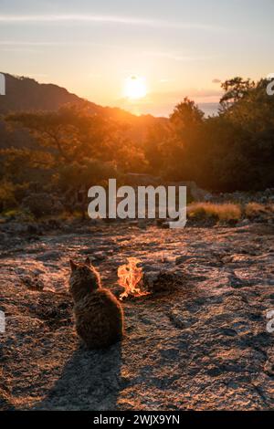 Dawn's Embrace : une veillée silencieuse de chat aux flammes éternelles de Yanartas Banque D'Images