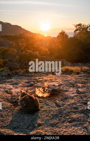 Dawn's Embrace : une veillée silencieuse de chat aux flammes éternelles de Yanartas Banque D'Images