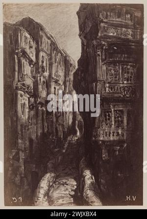 Figure de François Nicolas (1825-1901). "L'allée Coutanchez". Papier albumine. 1868. Paris, maison de Victor Hugo. Banque D'Images