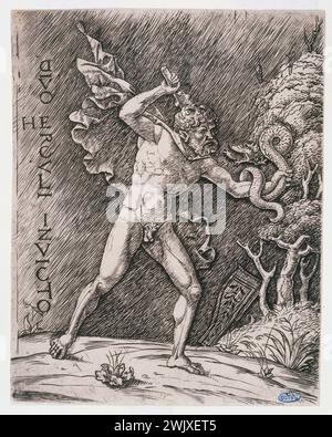 Andrea Mantegna (1431-1506) 'Hercule combattant contre un serpent - B 17'. Gravure. Musée des Beaux-Arts de la ville de Paris, petit Palais. 39454-6 combat, exploit, force, héros, personnage mythologique, serpent, combat, gravure, mythologie Banque D'Images