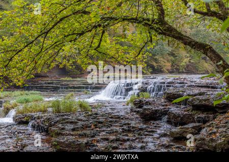 Chutes d'eau dans le parc d'État de Burgess Falls près de Cookeville, Tennessee Banque D'Images