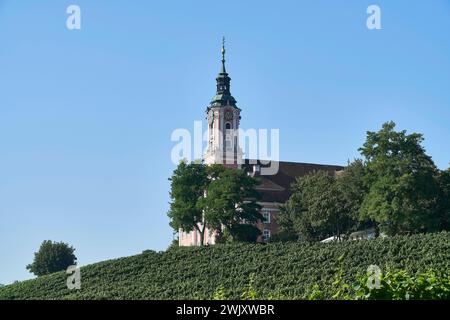 Europe, Allemagne, Birnau, Bade-Württemberg, région du lac de Constance, Uhldingen-Mühlhofen, Birnau Basilica, préparé Marien Church, Church, préparé Marien Banque D'Images