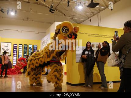 San Francisco, États-Unis. 16 février 2024. Les gens regardent un spectacle de danse du lion au Musée de la Société historique chinoise d'Amérique au Chinatown à San Francisco, aux États-Unis, le 16 février 2024. Un événement de trois jours célébrant le nouvel an lunaire chinois a débuté ici vendredi. Crédit : Liu Yilin/Xinhua/Alamy Live News Banque D'Images