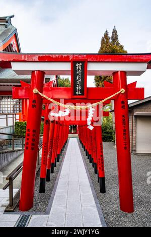 Portes rouges honorant les donateurs et les contributeurs. Sanctuaire Hakozaki Hachiman. Izumi, Kagoshima, Japon. Banque D'Images